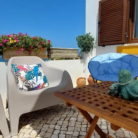 Pequena Baleia Ferrel (Leiria)